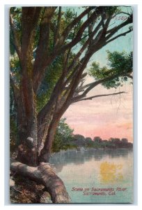C. 1910 Sacramento River Sacramento California Vintage Postcard P217 