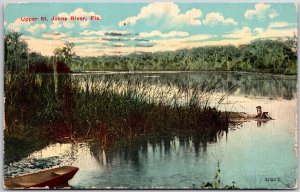 1912 Upper Saint Johns River Florida Nature Attraction Antique Posted Postcard