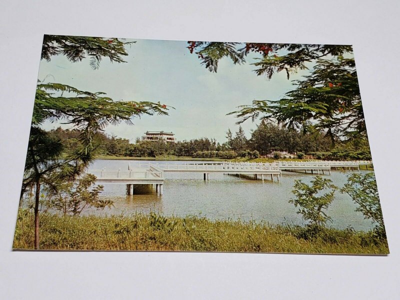 Zig-Zag Bridge Chen-Ching Lake Vintage Postcard China