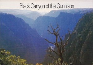 Black Canyon Of The Gunnison Colorado