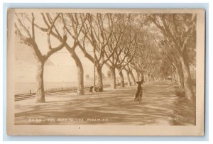 c1920's Cairo Egypt, The Road To The Pyramids RPPC Photo Vintage Postcard