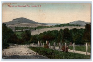 c1905 Walnut & Baldhead Mountains Liberty New York NY Antique Vintage Postcard 