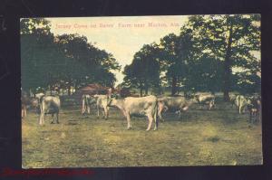 MARION ALABAMA JERSEY COWS CATTLE FARM FARMING BATES VINTAGE POSTCARD