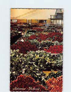 Postcard Interior flower auction, Aalsmeer, Netherlands