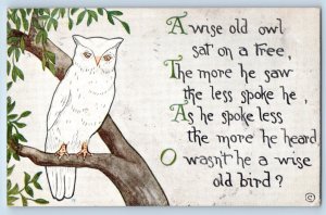 Kearney Nebraska NE Postcard A Wise Old Owl Sat On A Tree 1912 Posted Antique