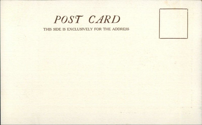 Staunton VA Front of Baldwin Seminary c1905 Postcard