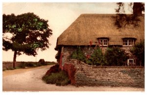 England  Selsy , Hollyhocks Cottage