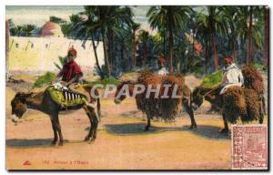 Postcard Old Algeria I Relour Oasis Donkey Donkey