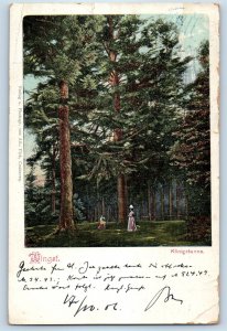 Lower Saxony Germany Postcard King's Arms Wingst 1906 Antique Posted