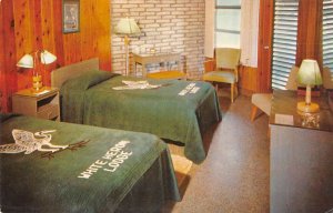 Homestead Florida White Heron Lodge Room Interior Vintage Postcard AA22601
