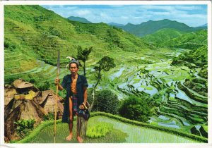 PC PHILIPPINES, THE BANAWE RICE TERRACES, Modern Postcard (B40281)