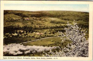 Postcard FARM SCENE Annapolis Valley Nova Scotia NS AL0814