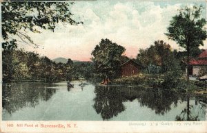 c.1909 Mill Pond at Stevensville New York Postcard 2T6-419