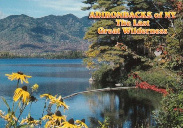 New York The Adirondack Park Lake View