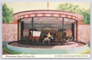 Animal~Chimpanzee Stage @ St Louis Zoo~Vintage Postcard