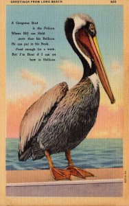 California Greetings From Long Beach With Gorgeous Pelican Curteich