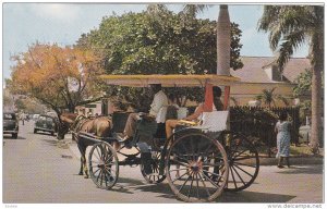 Horse Carriage, NASSAU, Bahamas, PU-1963