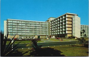 University Of Miami Coral Gables Florida Postcard C090