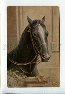 3160758 Head of HORSE Stable by REICHERT Vintage TSN #1542 PC