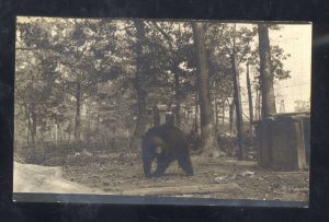 RPPC DELTA COLORADO PET BROWN BEAR VINTAGE REAL PHOTO POSTCARD