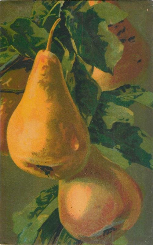 Vintage Artistic Postcard Velvet Material Fruits Pears