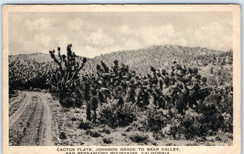 c1930s San Bernardino Mountains CA Cactus Flats Johnson Grade Bear Valley PC A90