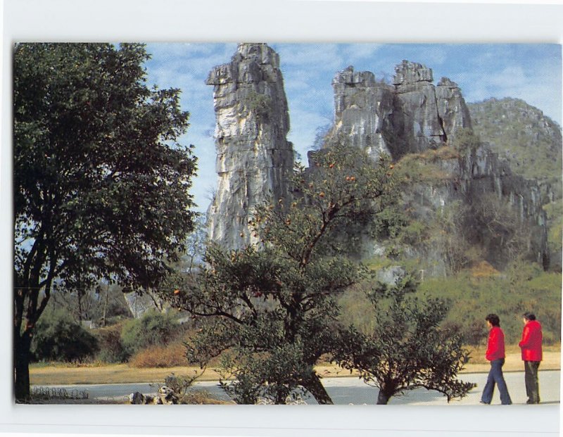 Postcard Camel Peak in Autumn - China