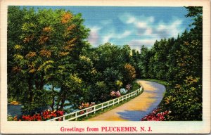 Vtg 1930s Greetings from Pluckemin New Jersey NJ Scenic Road View Linen Postcard