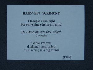 AGRIMONY Paintings Poems by Japanese Disabled Artist Tomihiro Hoshino PC