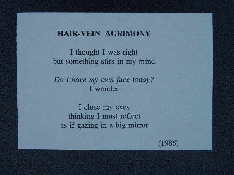 AGRIMONY Paintings Poems by Japanese Disabled Artist Tomihiro Hoshino PC