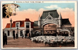 Vtg Chicago Illinois IL Entrance To Union Stock Yards Herding Sheep Postcard