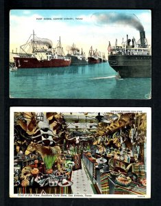 N57e WW11 Free San Antonio Tx. Buckhorn Curio Store, Port Scene Corpus Christi