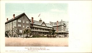 Avalon Santa Catalina Island CA Hotel Metropole c1890s Private Mailing Card