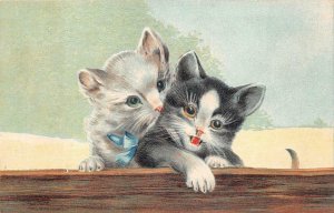 A PAIR OF CATS EMBOSSED POSTCARD (c. 1910) ****