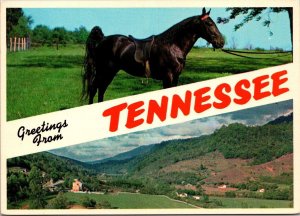 Greetings From Tennessee Split View