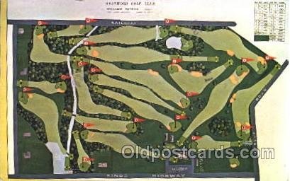 Westwood Gold Club Golf 1987 light crease right bottom corner, minor indentat...