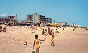 Postcard  Greetings from Rehoboth Beach, DE.    L7