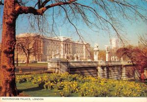 BR89506 buckingham palace london  uk