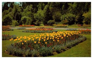 Postcard GARDEN SCENE Vancouver British Columbia BC AP9644