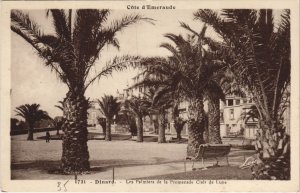 CPA Dinard Les Palmiers de la Promenade Clair de Lune (1236276)