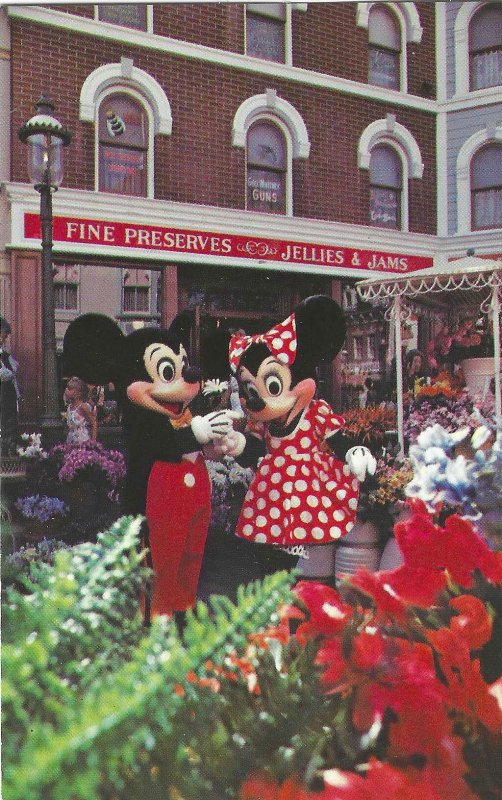 1970's Mickey and Minnie Mouse, Disneyland, California Chrome Postcard