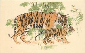 Artist Impression Tiger Cub Wilson 1930s Royale Publications postcard 7271