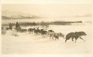 Postcard RPPC Alaska 1920s Dog Sled Team 23-5943