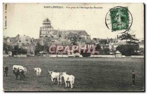 Old Postcard Pont L & # 39Eveque shooting the & # 39herbage of Hunières Cows