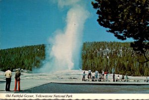 Yellowstone National Park Old Faithful Geyser