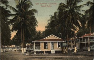 Panama Palm Avenue Cristobal Canal Zone c1910 Vintage Postcard