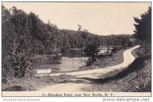 Hoboken Pond Near New Berlin New York Real Photo