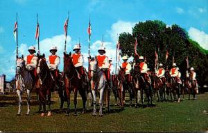 Barbados Bridgetown The Mounted Police