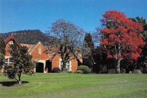 BR101853 gleniffer brae manor house illawarra flame tree wollongong   australia