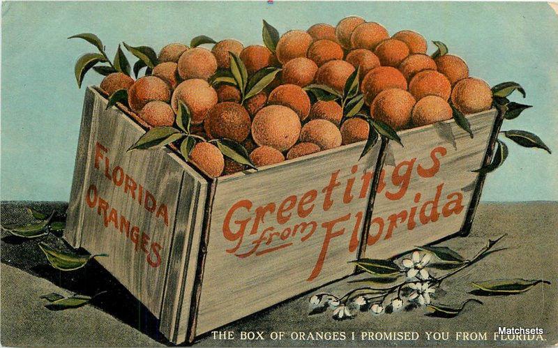 Artist Impression Box of Oranges FLORIDA Potscard 7630